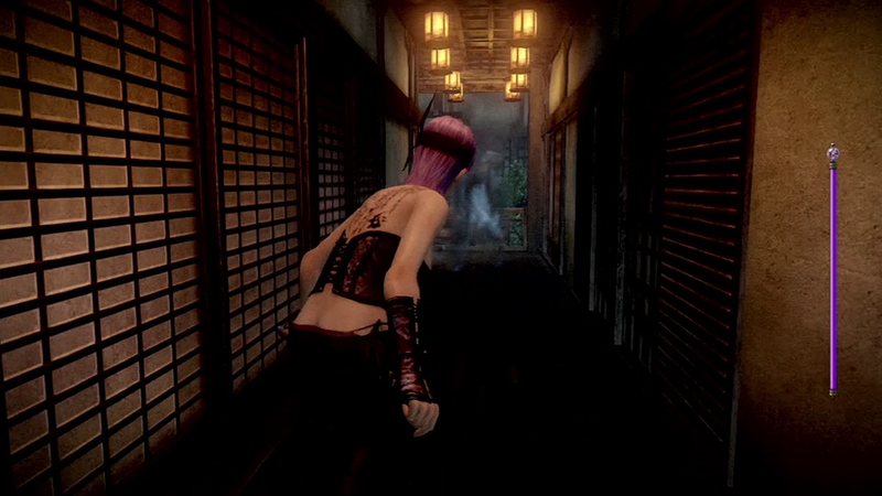Illustration for article titled You Got Your Dead or Alive in My Fatal Frame
